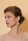 Heart shaped earrings